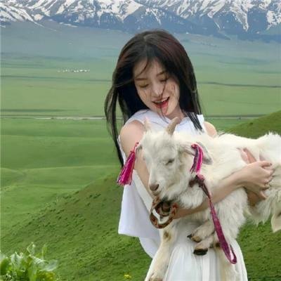 出租天使